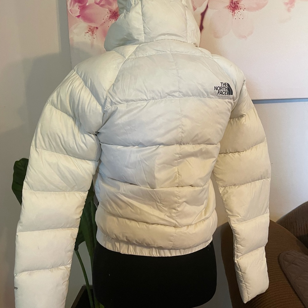 The North Face Women’s Hyalite Down Hoodie - Picture 2 of 6